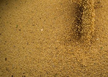 Projeções da AEB para balança comercial apontam para novos recordes