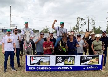 1ª Copa Marcha do Cavalo Mangalarga Marchador de Jaguaré reúne 47 competidores