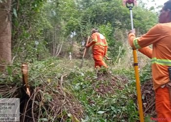 ES 230 – Avança processo de demarcação