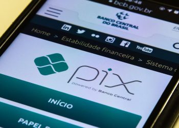 Mais de 40 órgãos federais aceitam pagamento de taxas via Pix