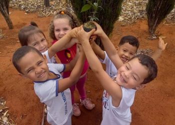 Fazenda em Nova Venécia recebe alunos da rede municipal para plantio de árvores