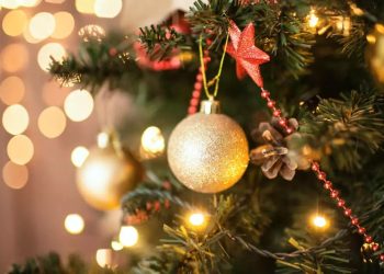 Contos de Natal para ler para os pequenos