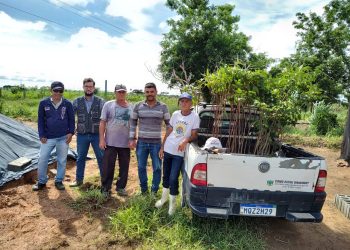 Ministro do STF suspende trechos da Lei de Improbidade