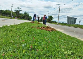 Prefeitura de Jaguaré inicia revitalização e paisagismo em áreas públicas