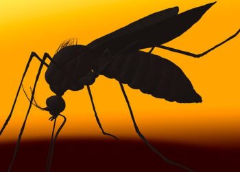 Prefeito assina ordem de serviço para construção de escadaria e pavimentação da Rua Travessa Matias no Bairro Iolanda