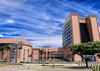 Assembleia economiza R$ 12 milhões com fim dos processos em papel