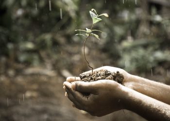 Cúpula da Celac termina com destaque para volta do Brasil ao bloco