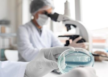 Fapes lança Editais Bolsa Pesquisador Capixaba e Taxa de Pesquisa