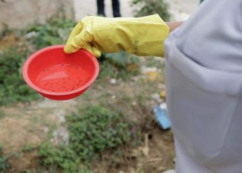 Prefeitura em alerta contra dengue