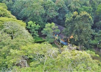 Conselho Municipal de Meio Ambiente define ações para 2023 em Jaguaré