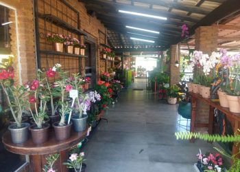 Casa Flores: sucesso total em nova filial