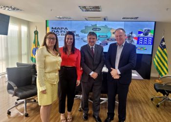 Casagrande se reúne com ministro do Desenvolvimento e Assistência Social em Brasília