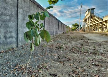 Governo do Estado lança o Ciclo 2023 do Programa Fundo a Fundo da Cultura