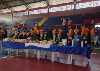 CCJ da Câmara aprova proposta de anistia a partidos políticos