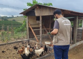 Câmara aprova marco temporal de demarcação de terras indígenas