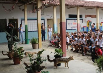 STF vai julgar vínculo trabalhista entre motoristas e aplicativos