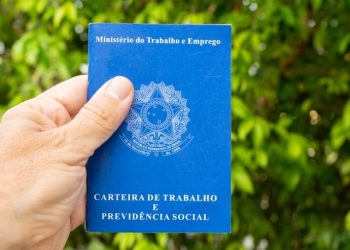 Agropecuária lidera geração de empregos