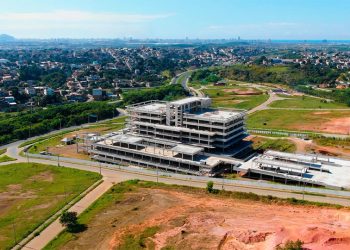 Japão retira suspensão de compra de carne de aves do Espírito Santo