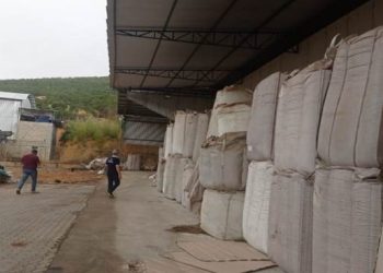 Bolsa cai pela 10ª vez e tem maior sequência de baixas em 39 anos