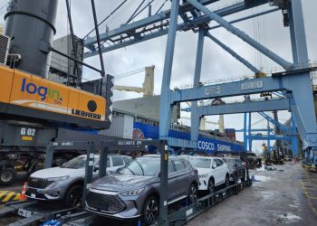 Zé Gotinha completa 50 anos de vitórias