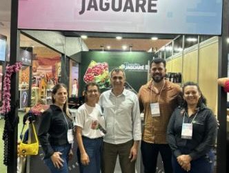 Micro e pequenas empresas lideram geração de empregos em julho