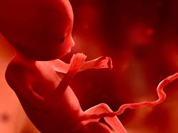 STF inicia discussão para liberação do aborto até o terceiro mês de gestação