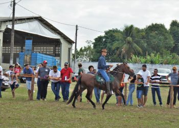 2ª Copa de Marcha de Cavalo Mangalarga Marchador em Jaguaré será em setembro