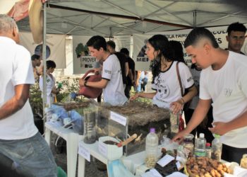 Tesouro Direto sorteará até R$ 50 mil a investidores de título Educa+