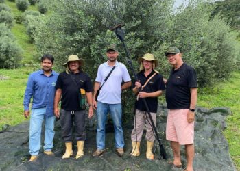 Conceição da Barra realiza 8ª Edição do Festival do Camarão no feriadão