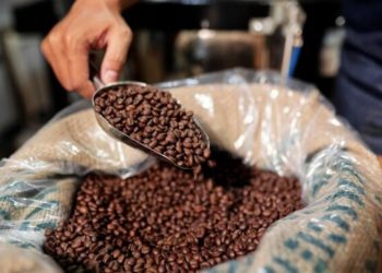 Estudo mostra que 46% das casas no Brasil têm problemas de saneamento