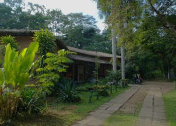 Estudo mostra que 46% das casas no Brasil têm problemas de saneamento