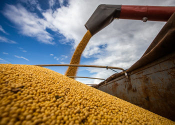 Exportações brasileiras superam marca de US$ 300 bi pelo segundo ano