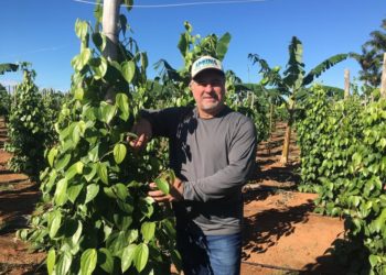 Conheça as 10 melhores rodovias do país