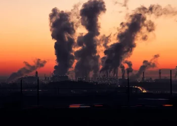 COP28 aprova Brasil como sede da Conferência do Clima de 2025