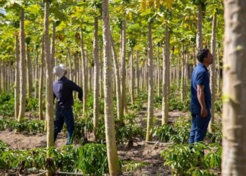 Aeroportos do país terão fluxo maior de passageiros em dezembro
