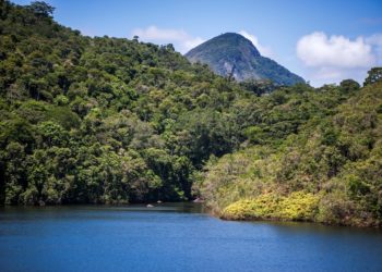 Devedores da Receita Federal já podem quitar dívidas sem multa e juros