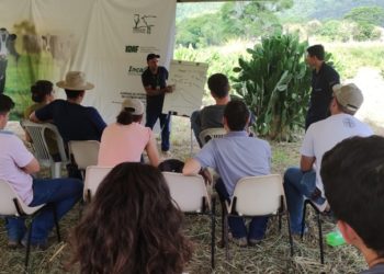 Incaper fez 73 mil atendimentos de assistência técnica e extensão rural em 2023