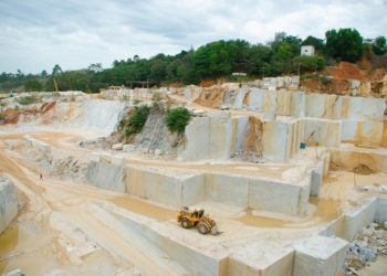 Confira o que se sabe até agora sobre a vacina contra a dengue no SUS
