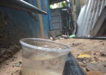 Prefeitura alerta para limpeza de lotes na prevenção contra o mosquito da dengue