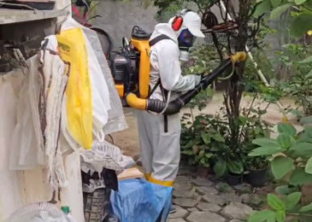 Nos 40 anos da Sapucaí, Viradouro é campeã do carnaval do Rio