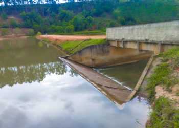 Com epidemia, Rio tem recorde de internações por dengue em janeiro