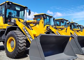 Brasil ultrapassa 650 mil casos de dengue