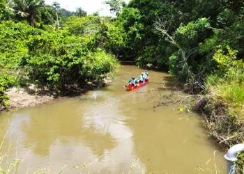 Governo define regras para Programa Manoel Querino de Qualificação