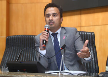 Projeto de lei propõe o incentivo à produção de cacau de qualidade