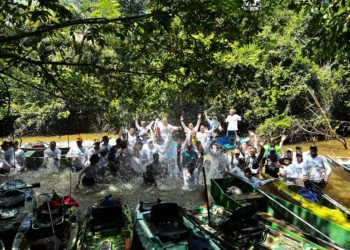 Brasil tem quase mil mortes por dengue em investigação