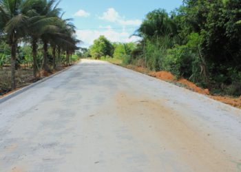 Projeto ‘Mobilidade Elétrica no Espírito Santo’ é finalizado com lançamento de livro