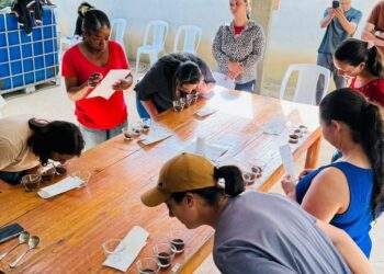 Mulheres do Café: cursos incentivam produção de cafés especiais e sucessão familiar