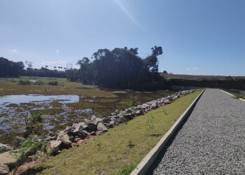 Profissionais do SUS terão acesso a prontuário unificado de pacientes