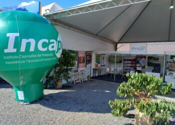 Decreto estabelece valores de dívidas para caracterização dos ‘devedores contumazes’