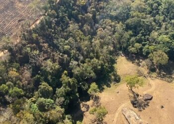 Incêndio no Parque Estadual Mata das Flores é controlado